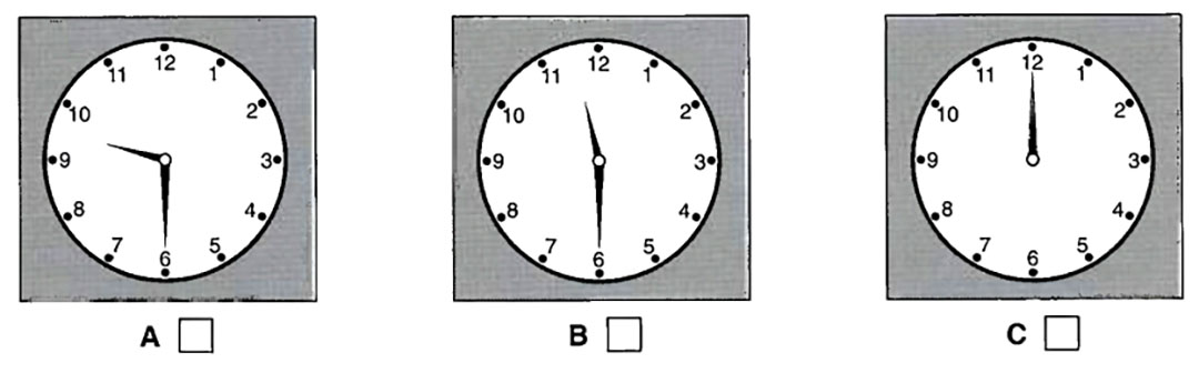 Hình lựa chọn cho bài nghe