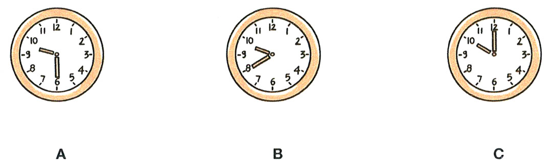 Hình lựa chọn cho bài nghe