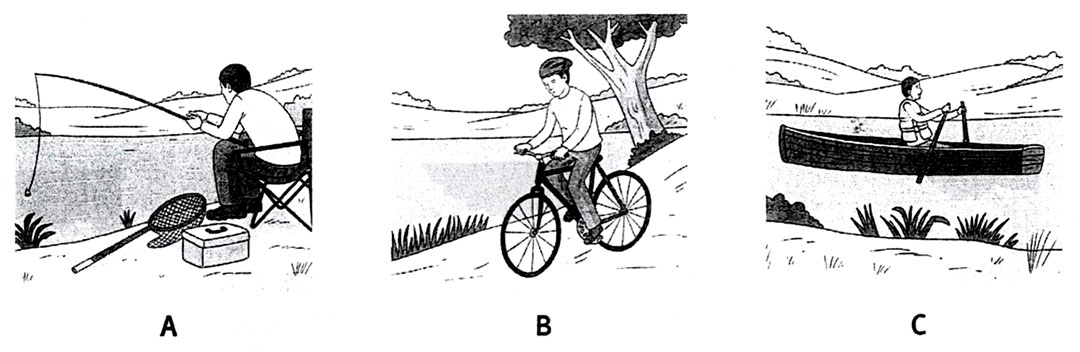 Hình lựa chọn cho bài nghe