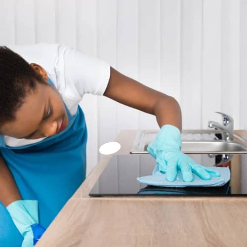 Professional Cleaning Services
