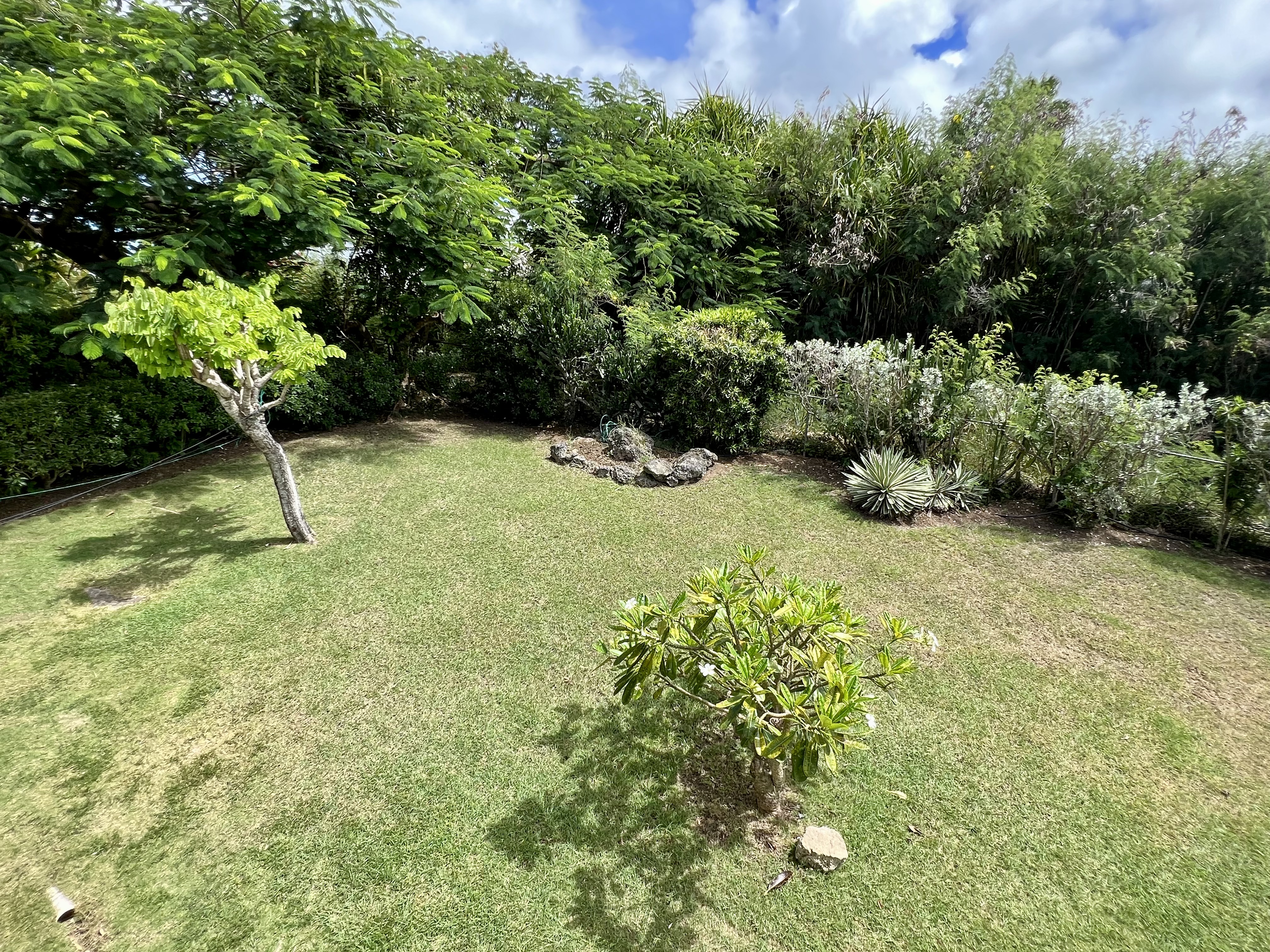 Property thumbnail 13