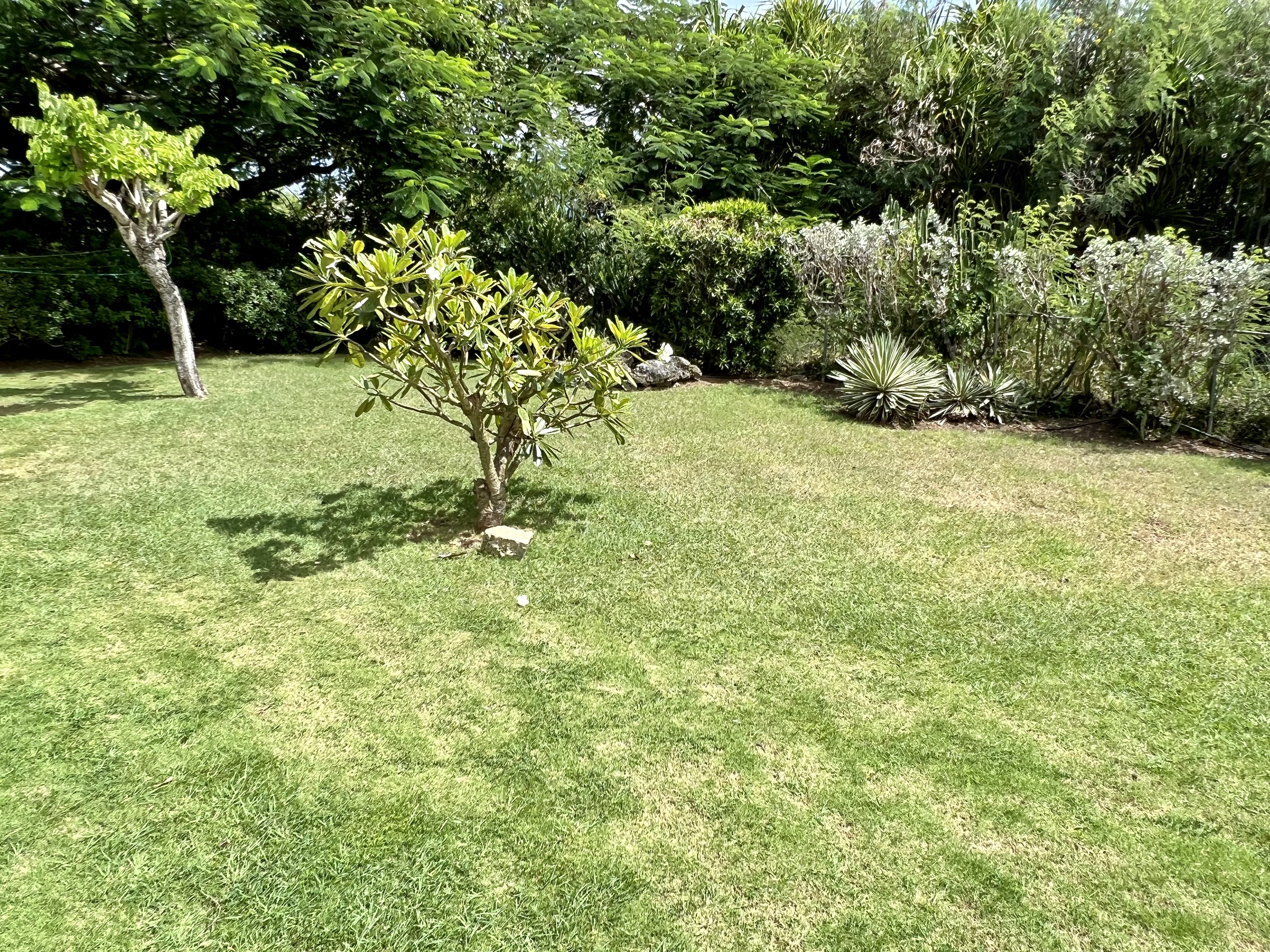 Property thumbnail 27