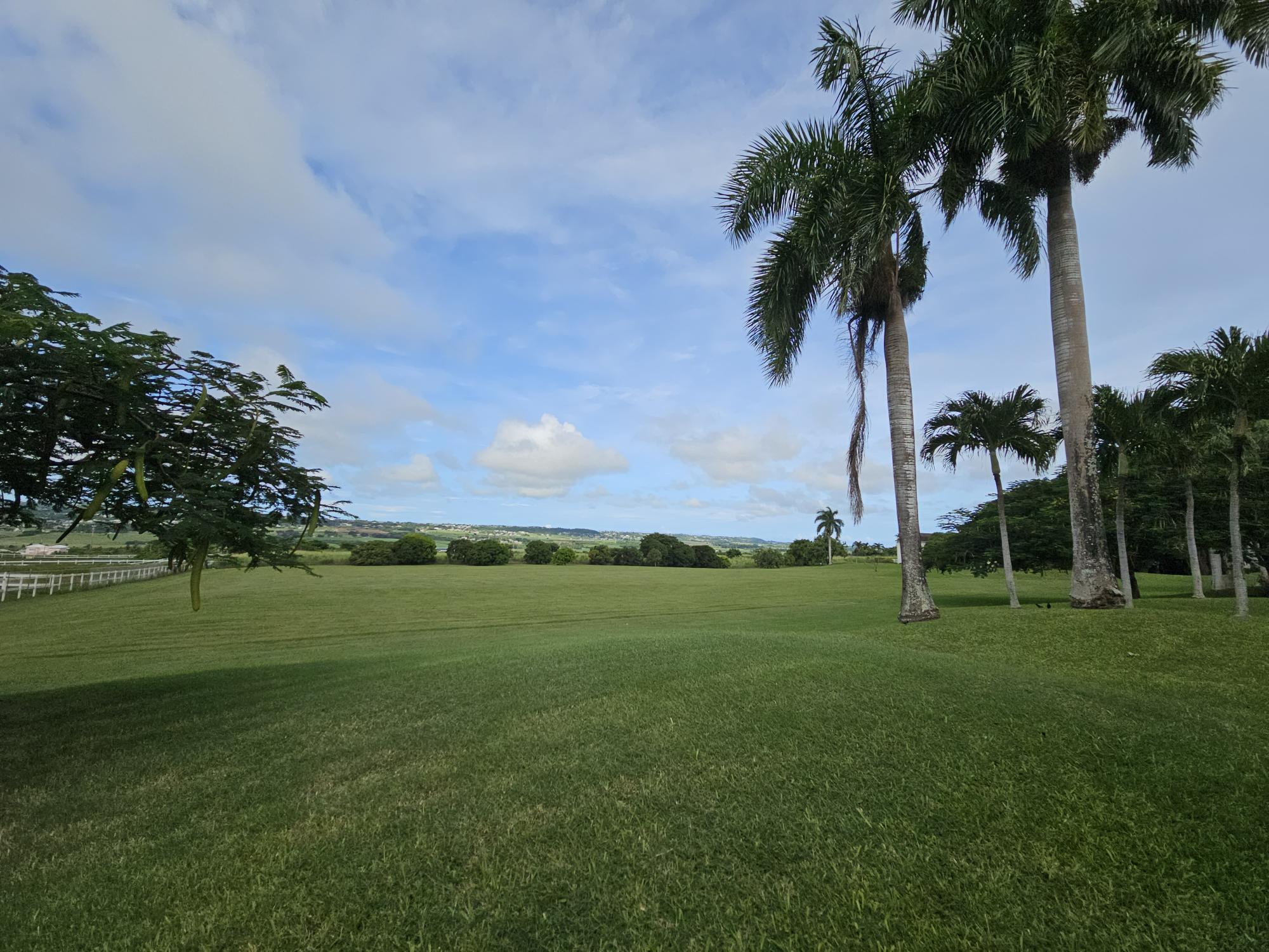Property thumbnail 10