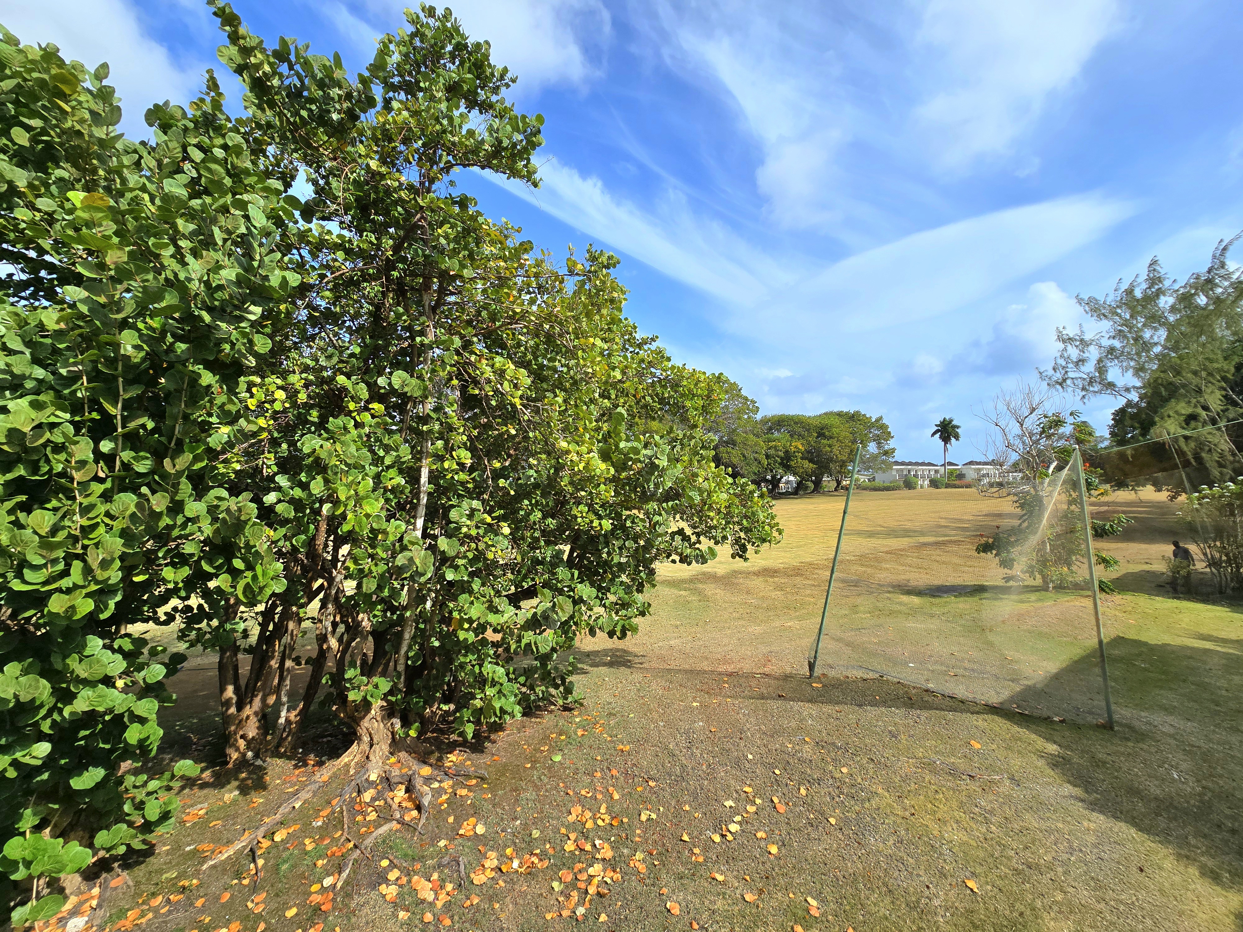 Property thumbnail 7