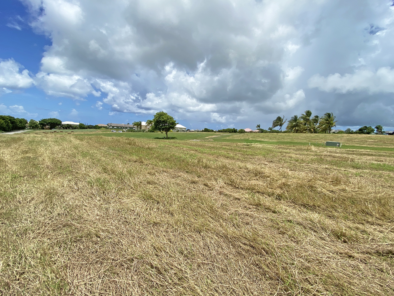 Property thumbnail 7