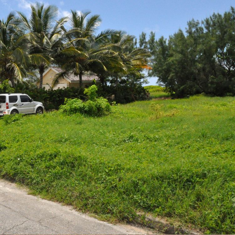 Coral Drive 192*