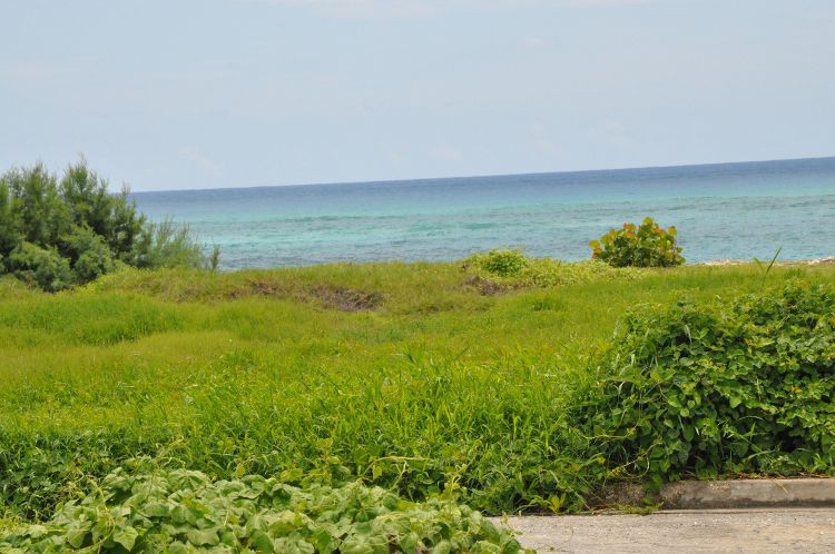 Property thumbnail 2
