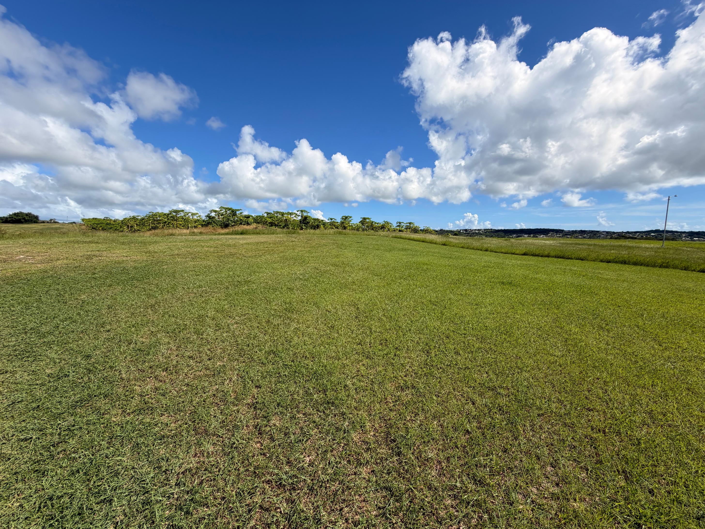 Lot 7 Valley Plantation