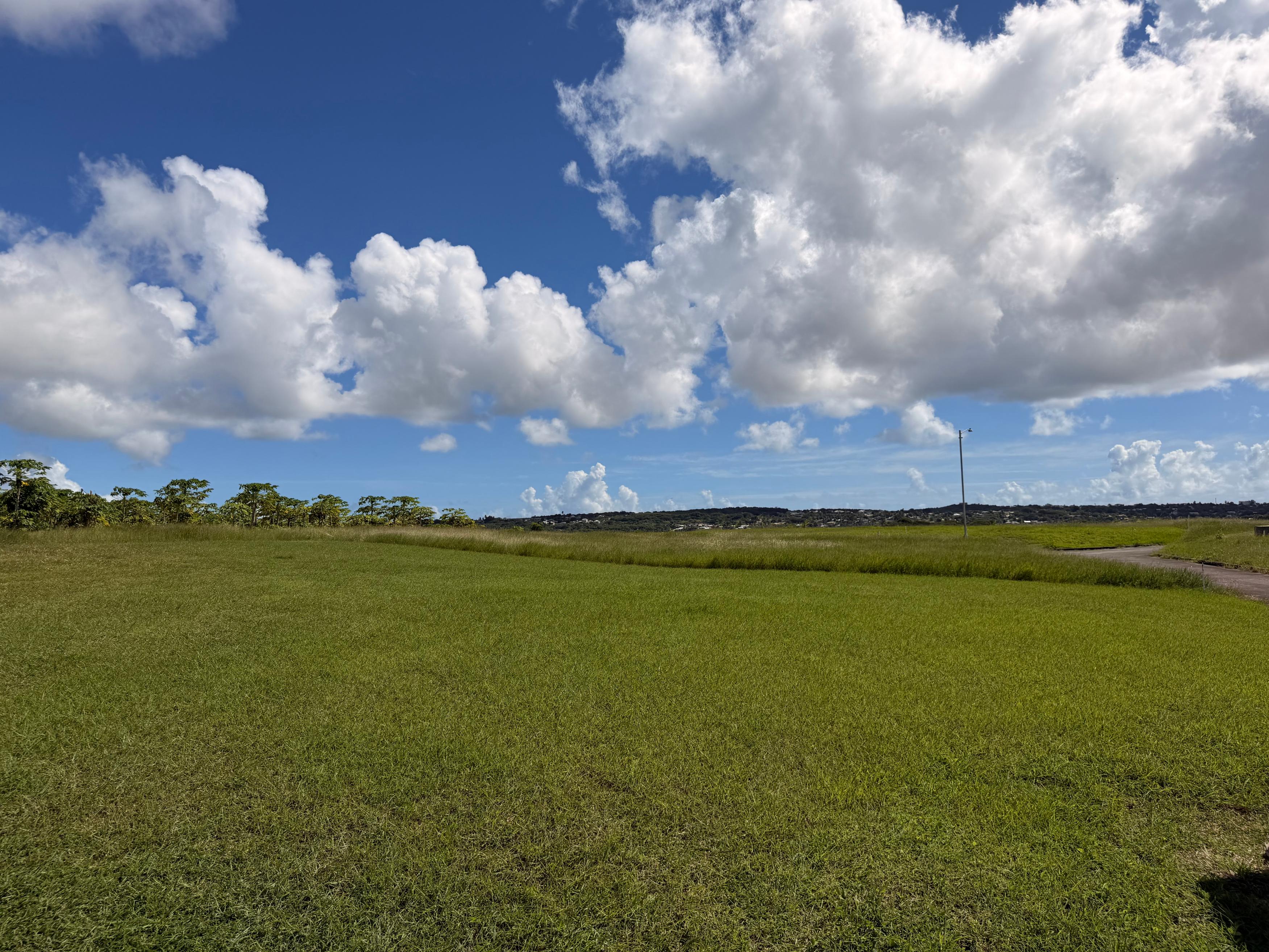 Property thumbnail 14