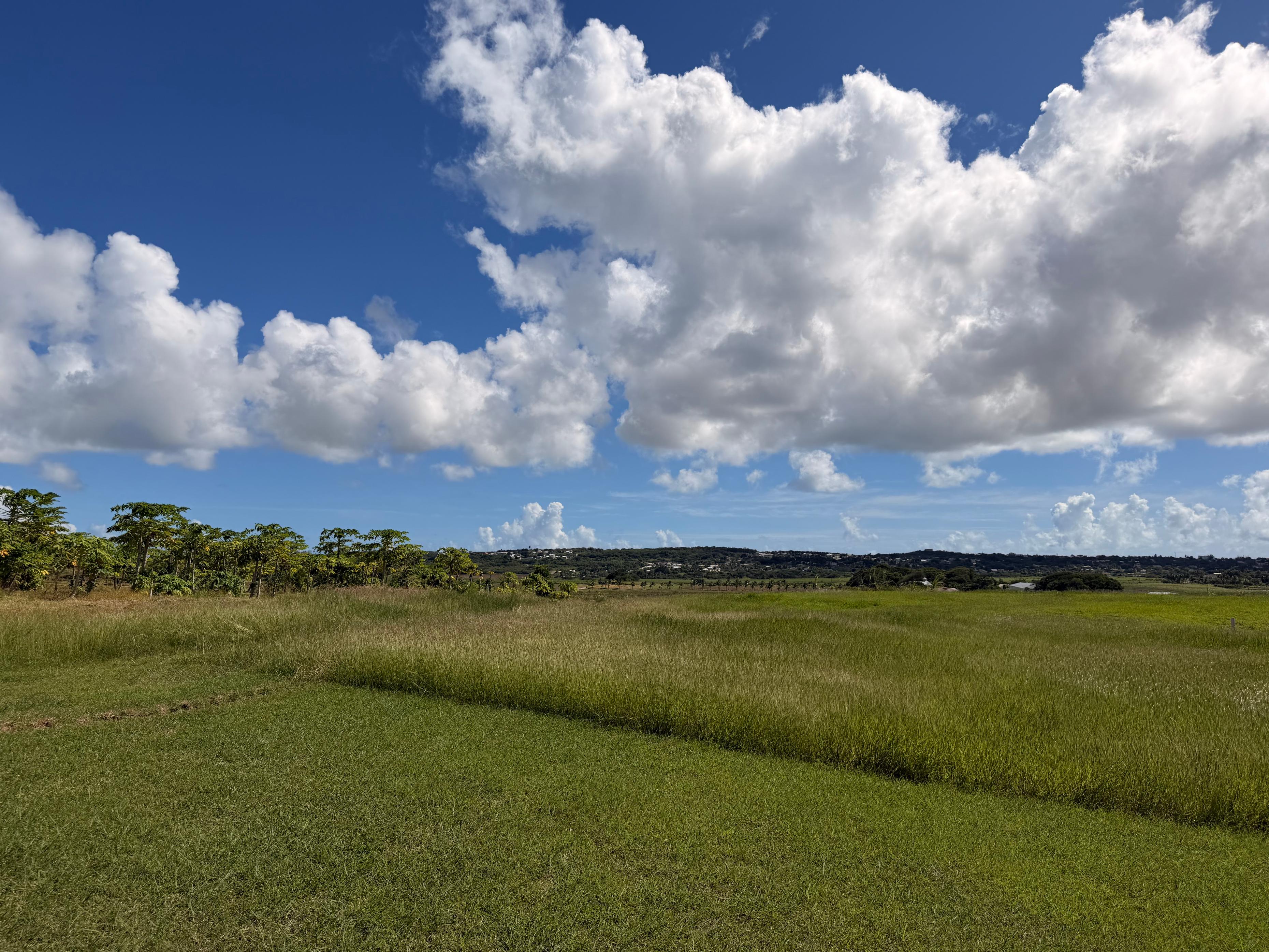 Property thumbnail 8