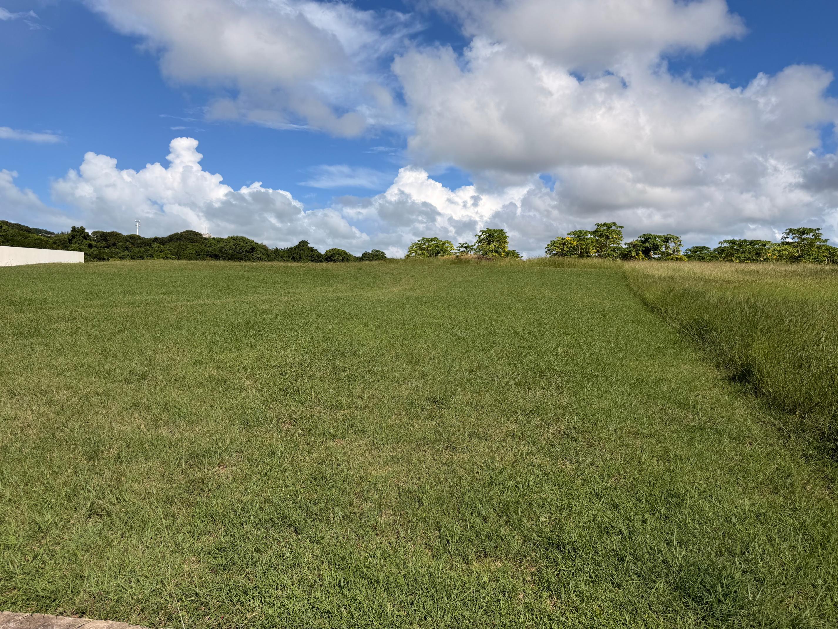 Property thumbnail 9