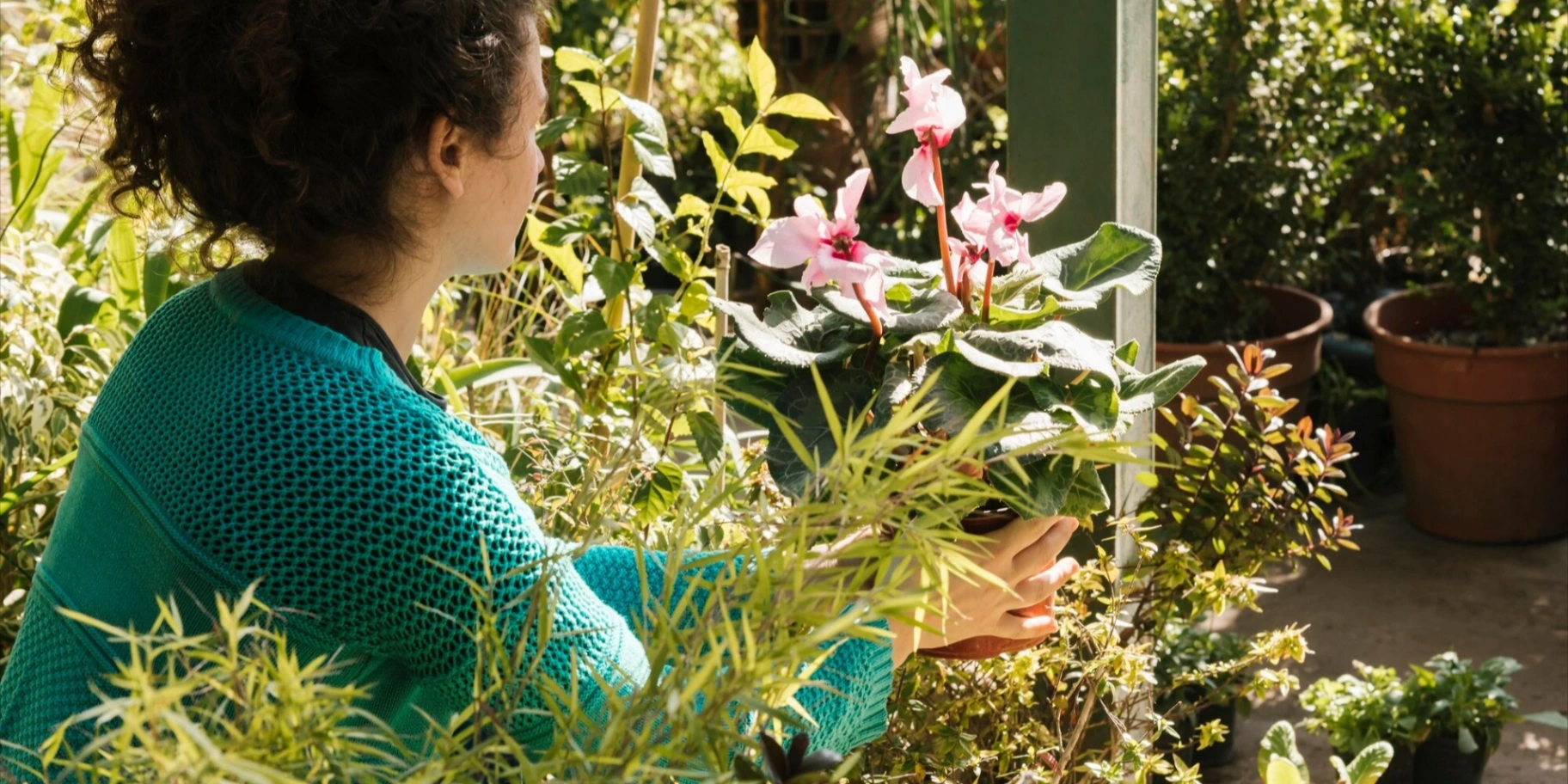 ¿Cómo comenzar un jardín en casa?