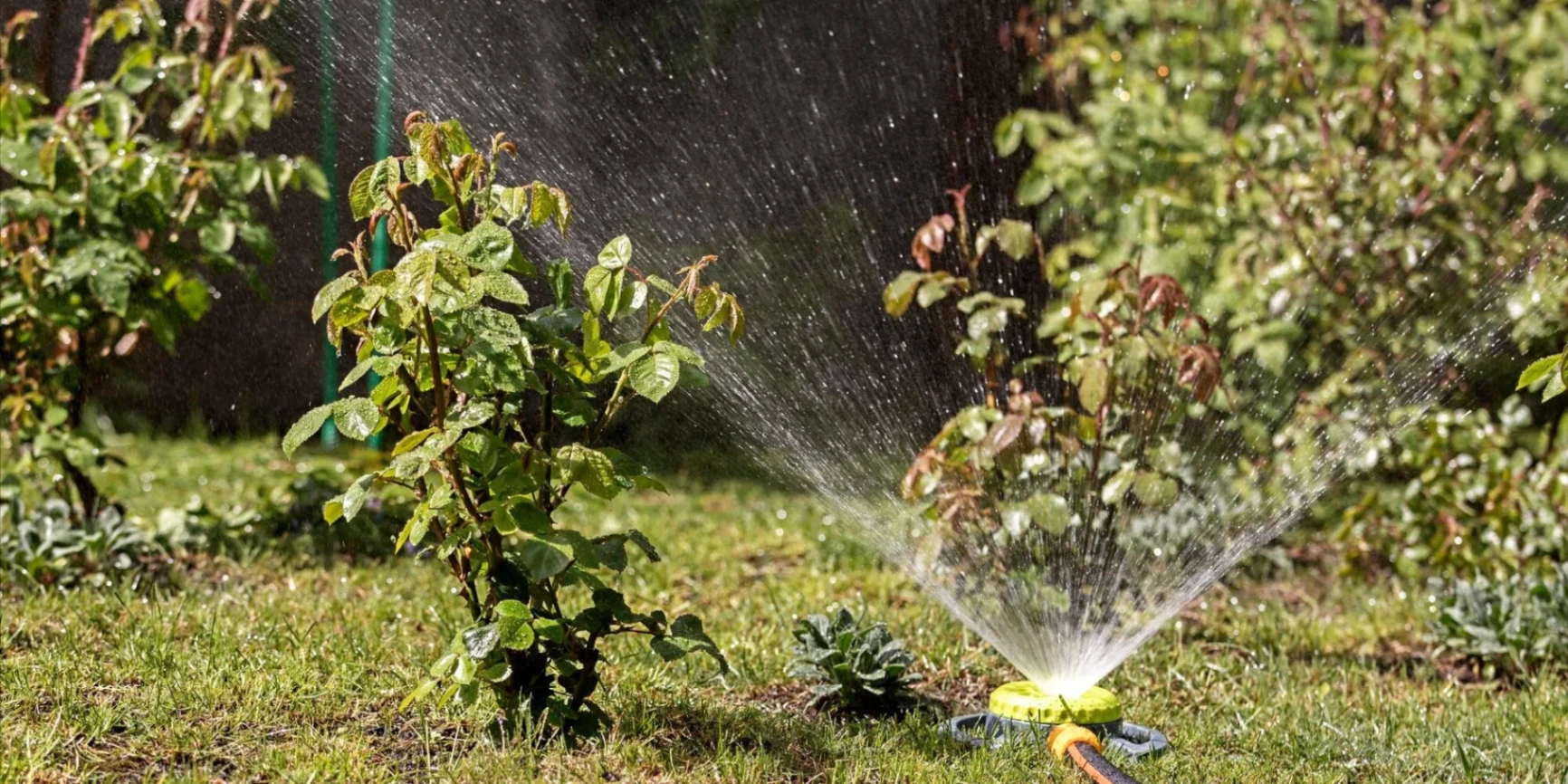 Cómo Ahorrar Agua en tu Jardín: Técnicas de Riego Eficiente