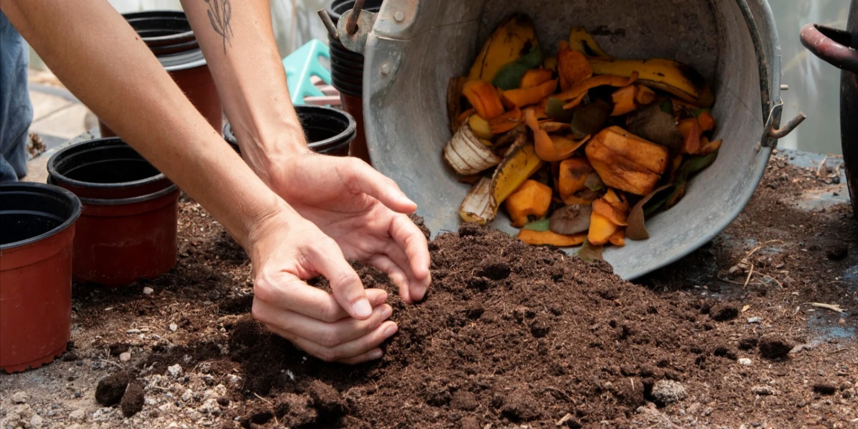 Abonos naturales: recetas caseras para nutrir tus plantas