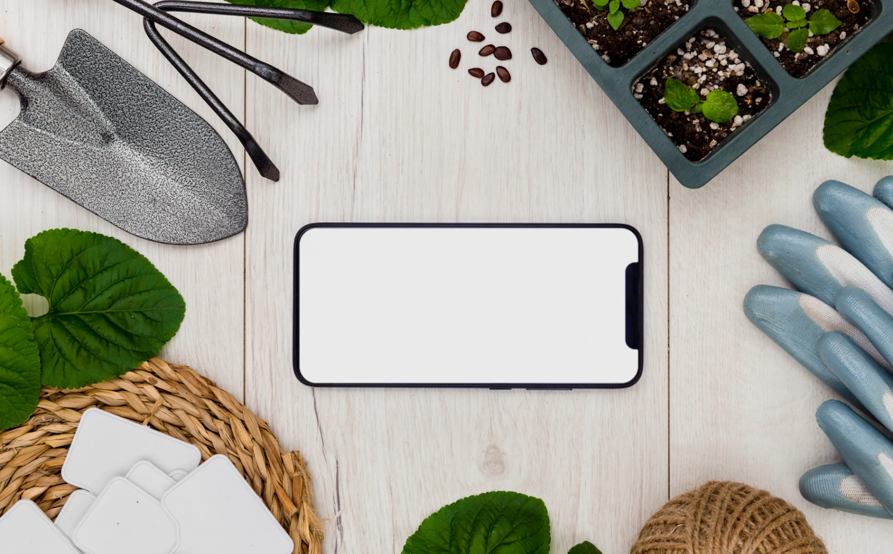 ¿Cómo puedo solicitar un servicio?