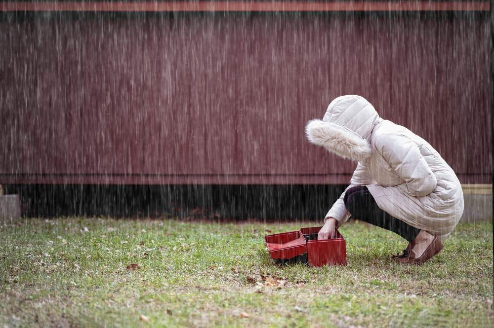 Cuidados del Jardín en Temporada de Lluvias: Cómo Prevenir Plagas y Enfermedades