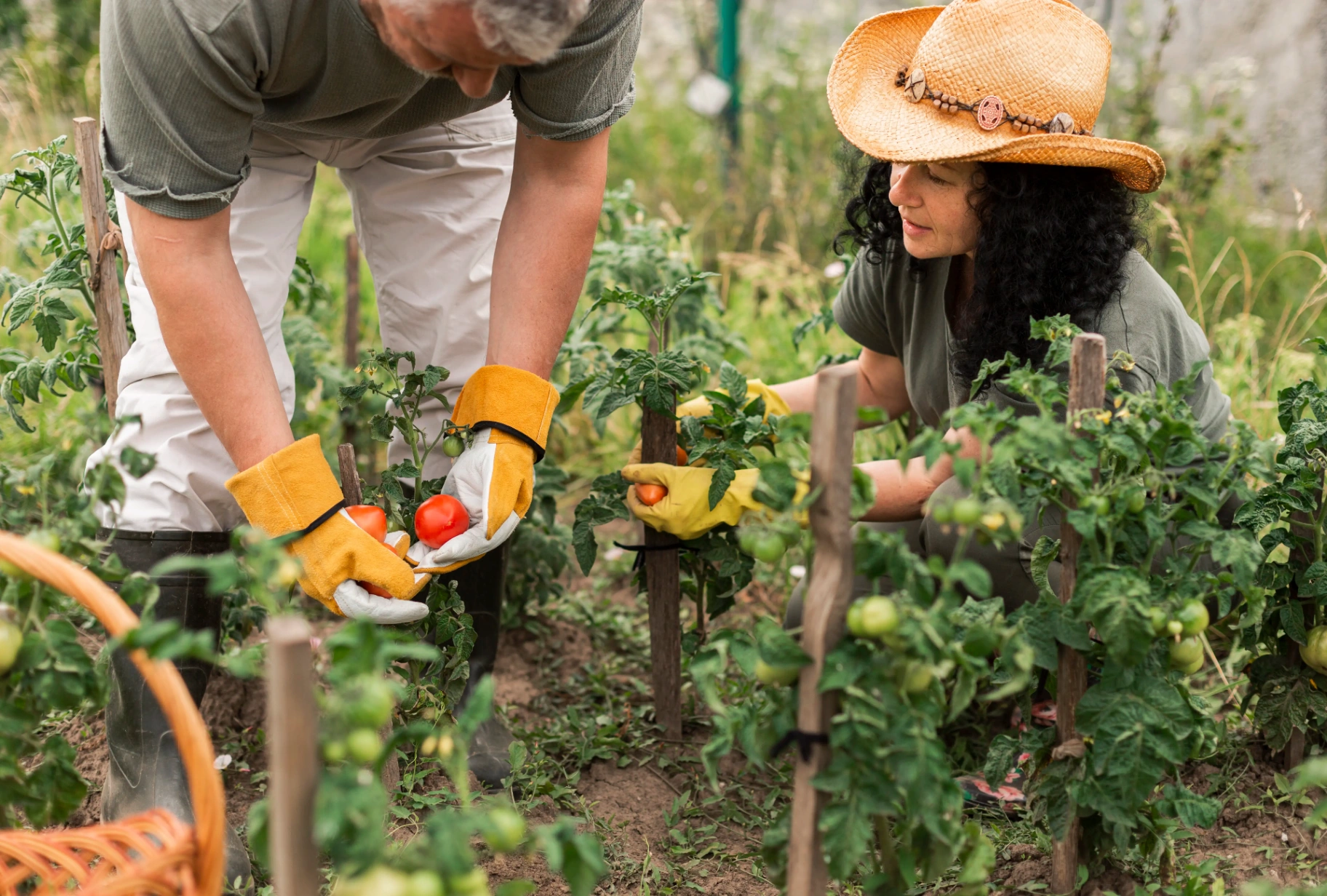 🌱 Crea un huerto biodiverso: cultiva alimentos y vida al mismo tiempo