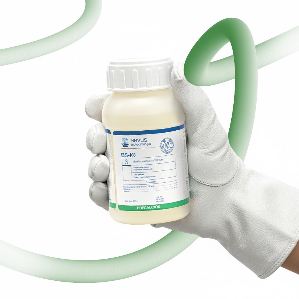¡El Secreto Revelado! Así Garantiza Aevus la Efectividad de los Biofertilizantes en México