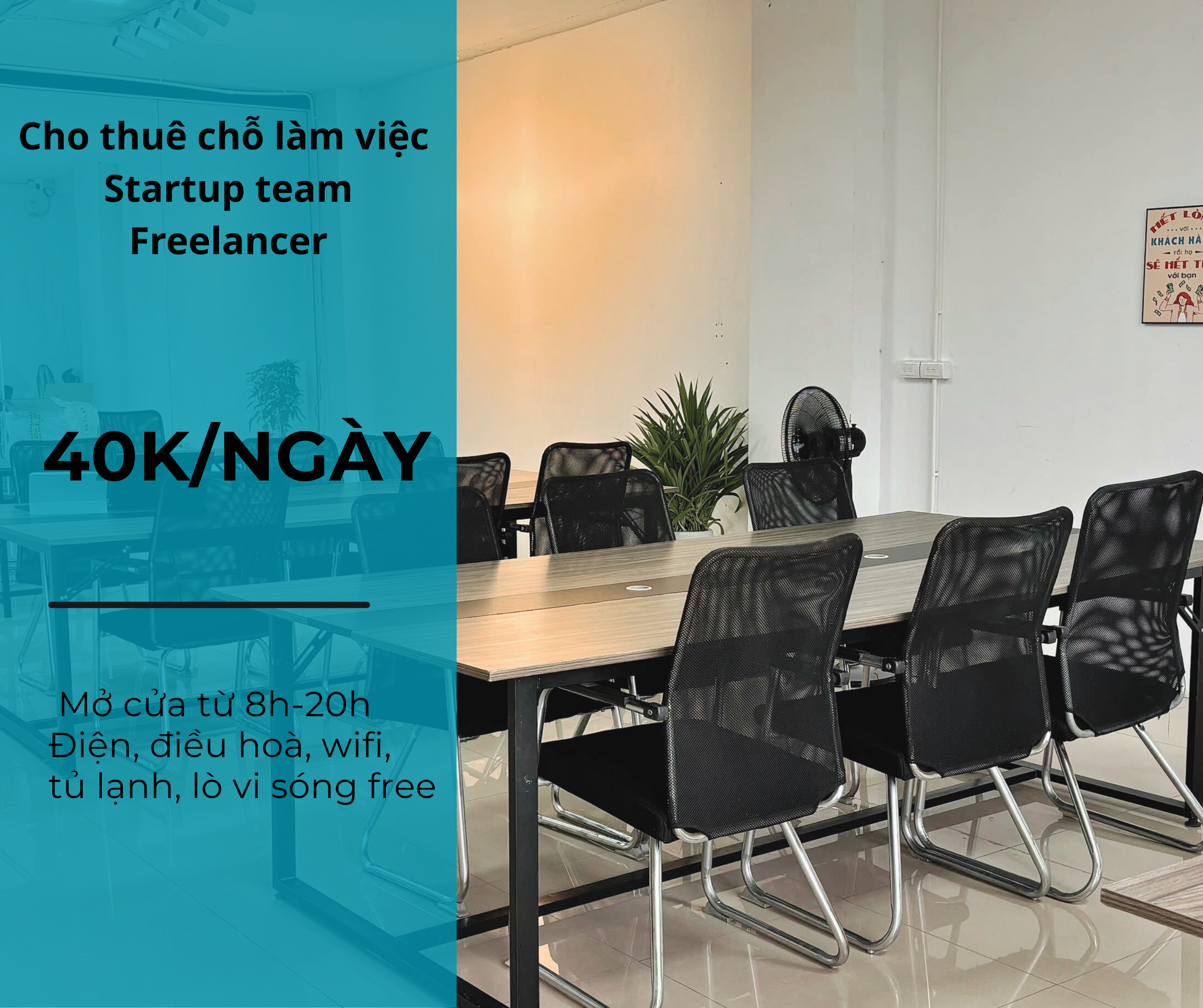 Network of young and creative talent