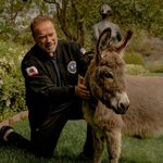 Arnold Schwarzenegger Instagram profile photo