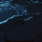 Cody Simpson Instagram profile photo