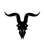 Dan Bilzerian Instagram profile photo