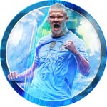 Erling Haaland Instagram profile photo