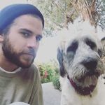 Liam Hemsworth Instagram profile photo