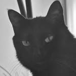 SUGA Instagram profile photo