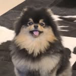 V Instagram profile photo