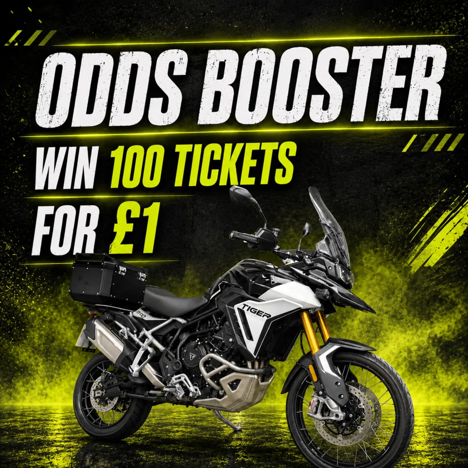 Triumph Tiger Odds Booster #3