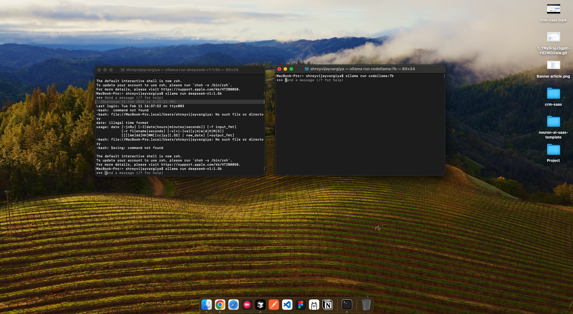 Running deepseek-r1:1.5b and 7b param LLM model locally in the terminal