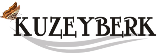 Kuzeyberk