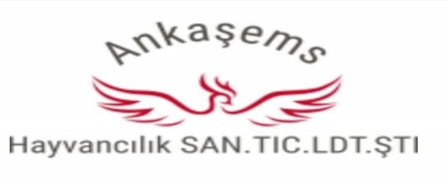 Ankaşems hayvancılık