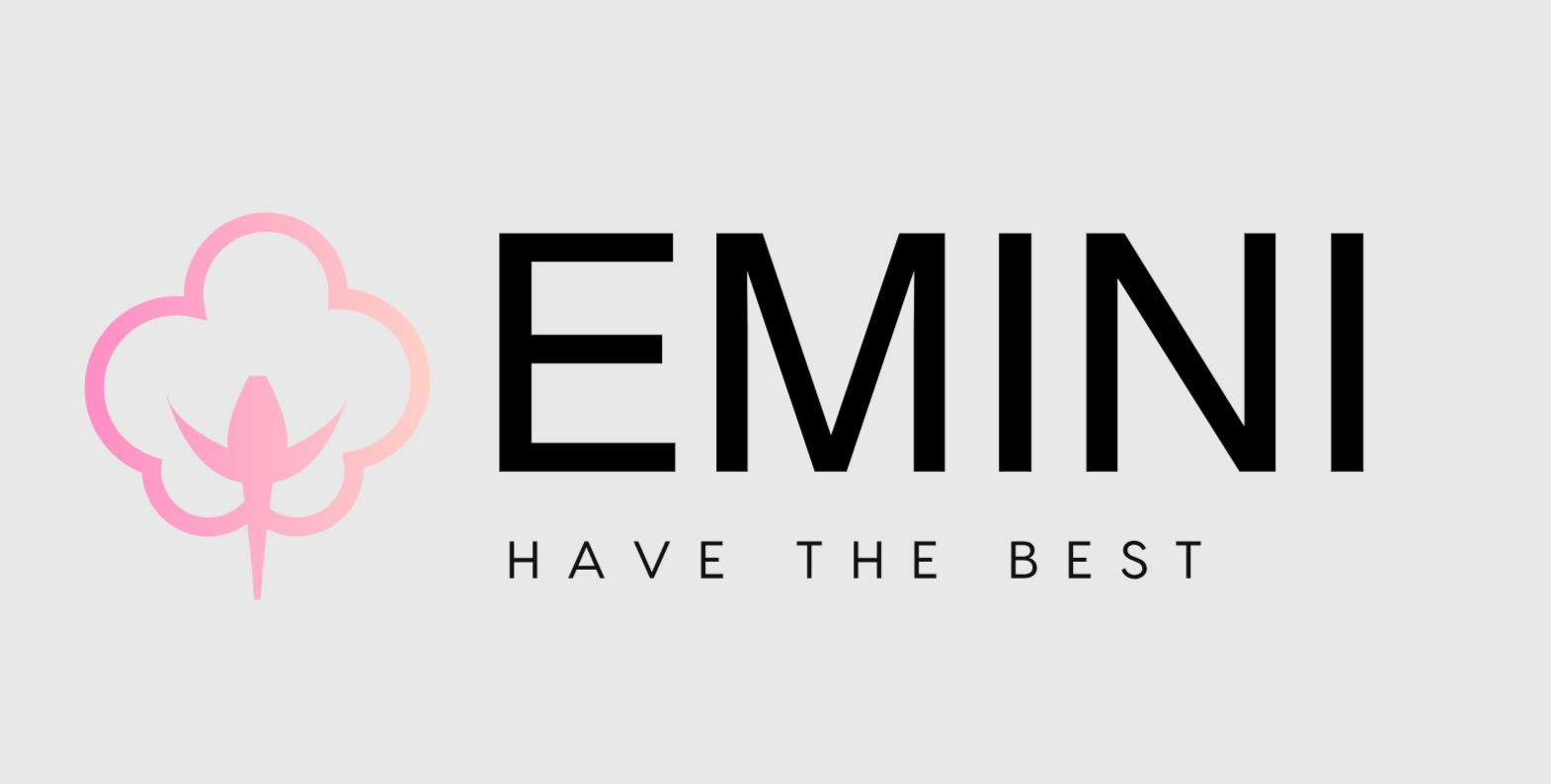 EMINI