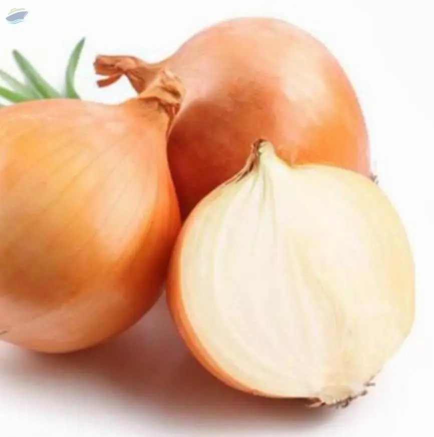 Onion