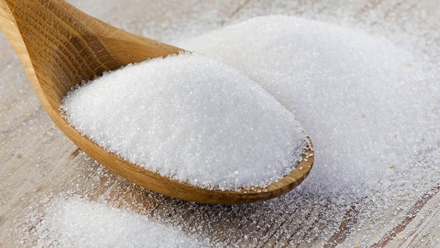 SUGAR SUGAR
