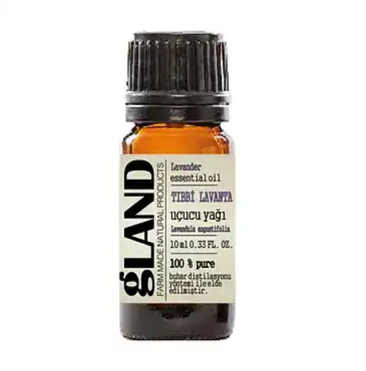 Medicinal Lavender Essential Oil 10 ml