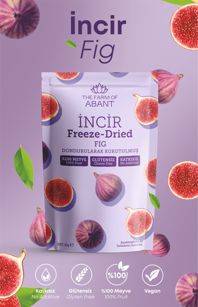 Freeze Dried Fig