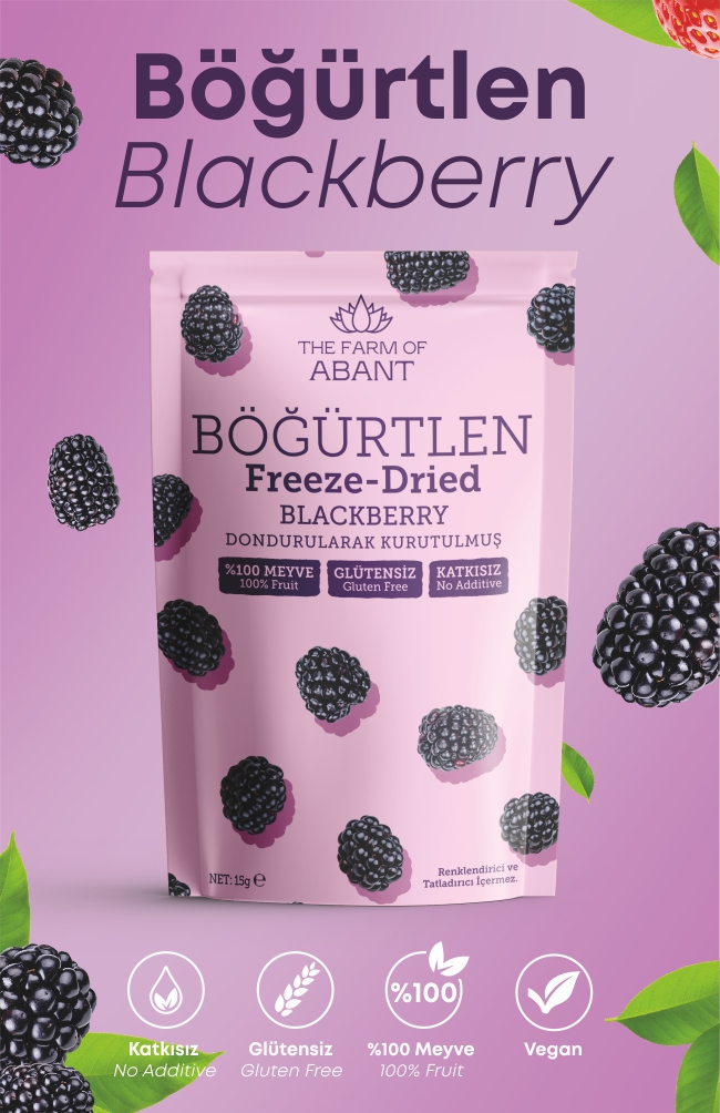 Freeze Dried Blackberry