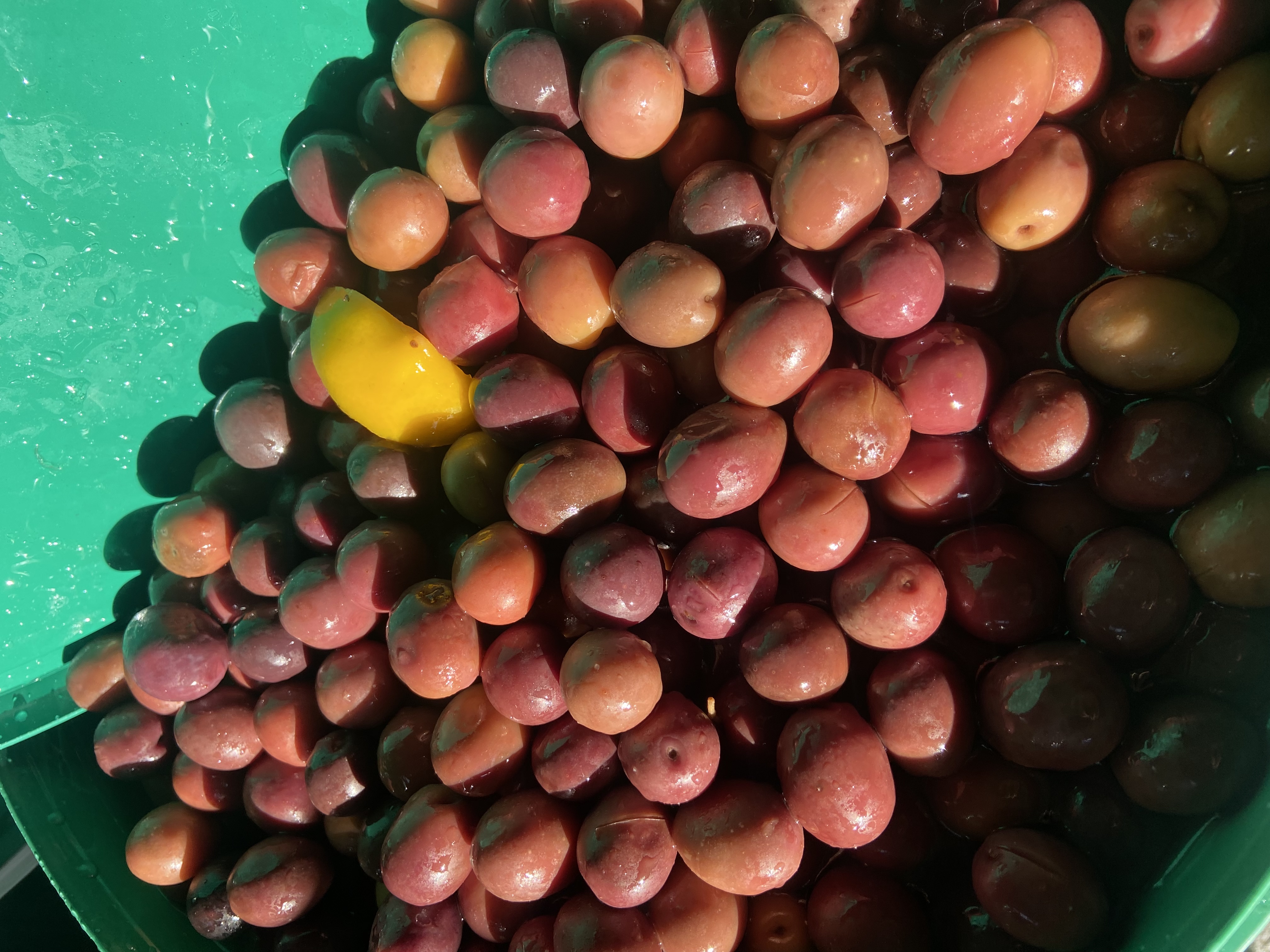 Green-cracked olives