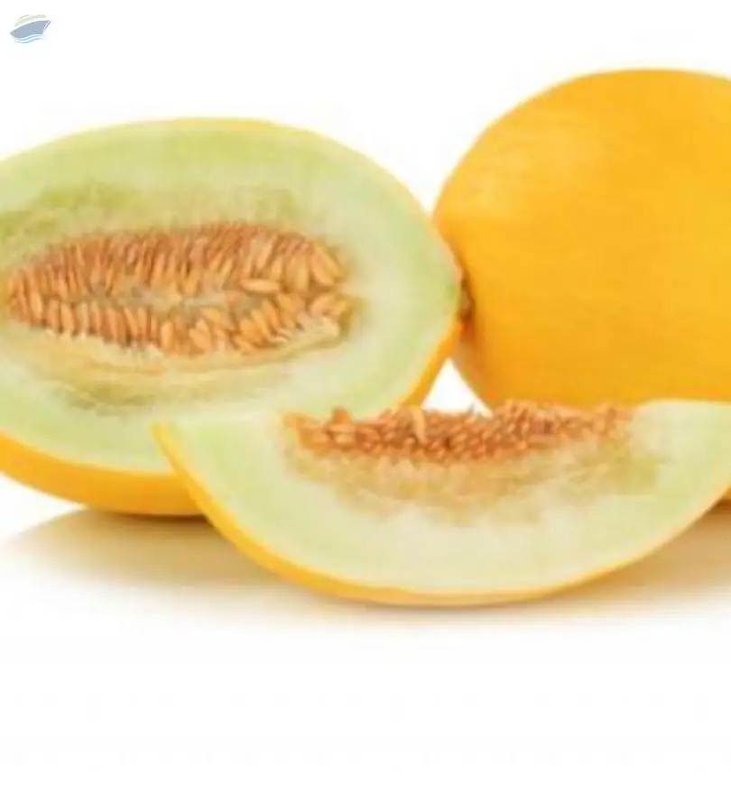 Melon