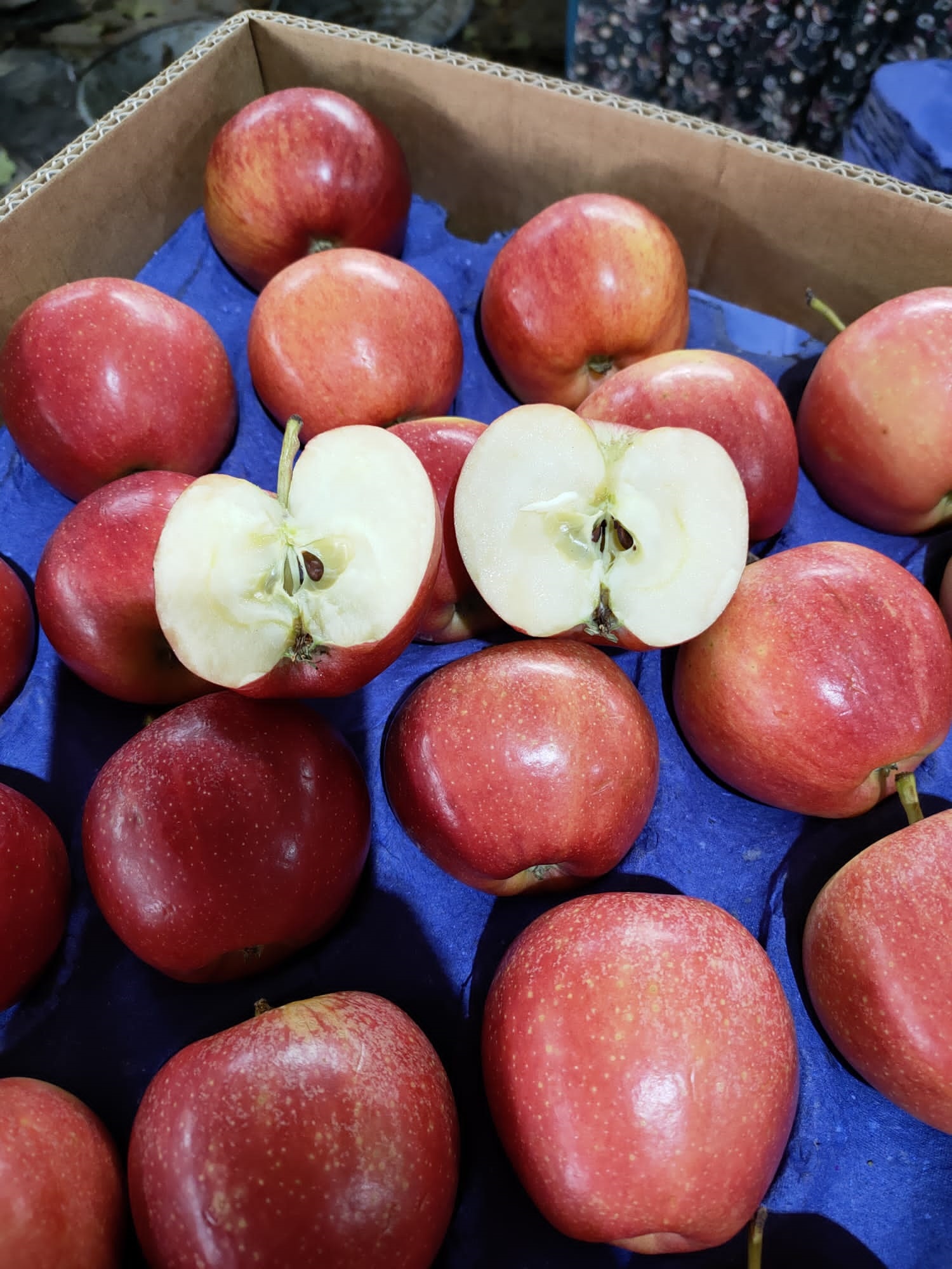 turkish Fruits