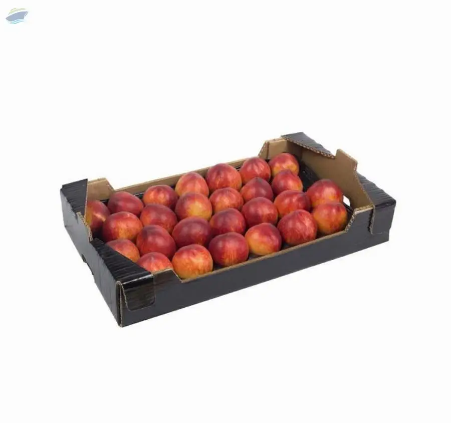 Fresh Nectarine From Turkey