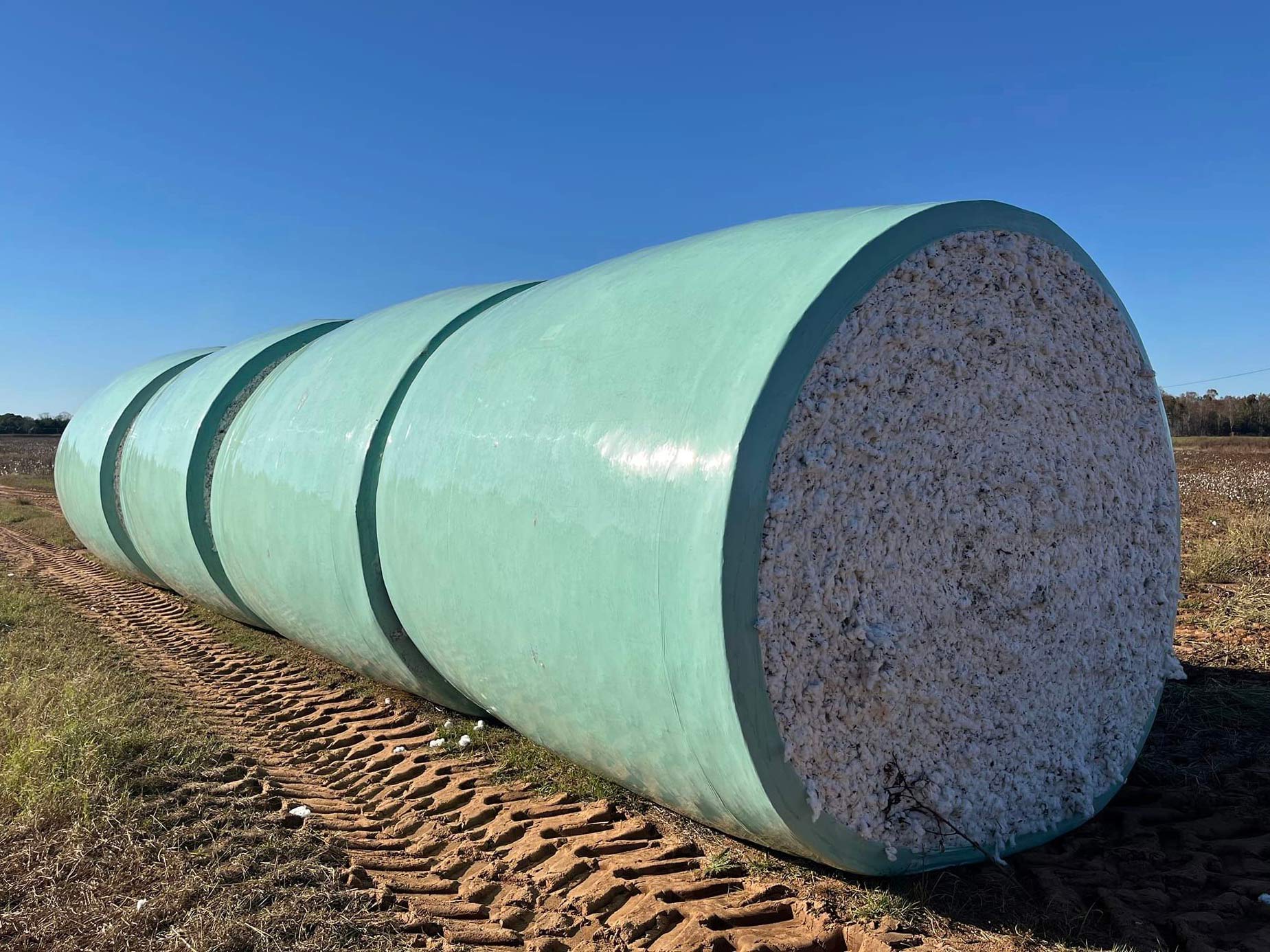 Cotton Bale