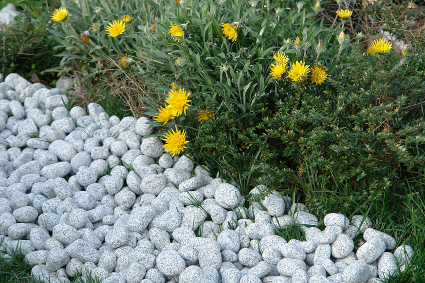 Tamburlu granit