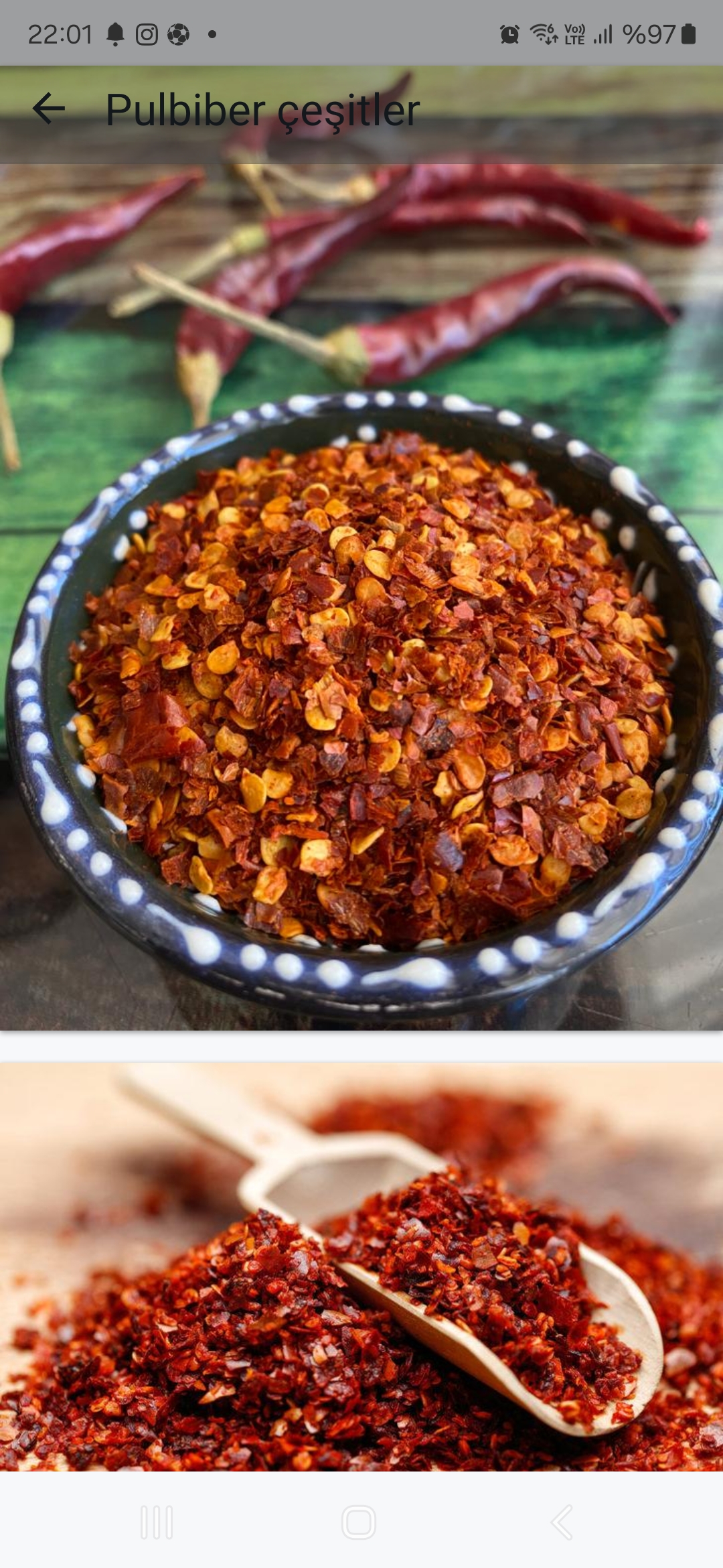 Chilli pepper flakes