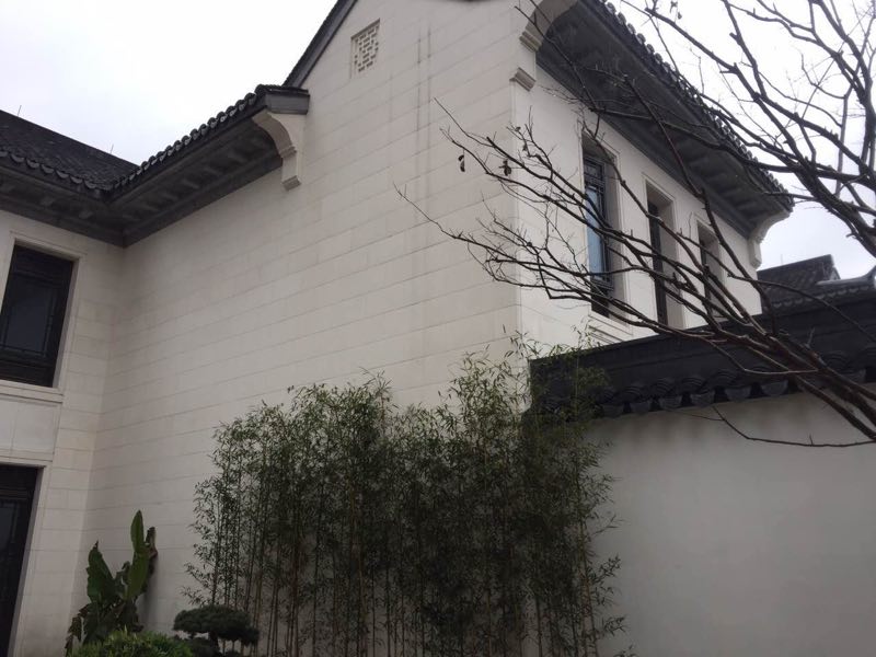 Classical Villa — Rear Garden