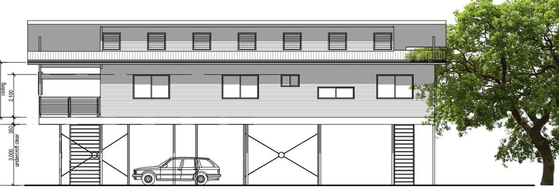 Macleay Drawing 2