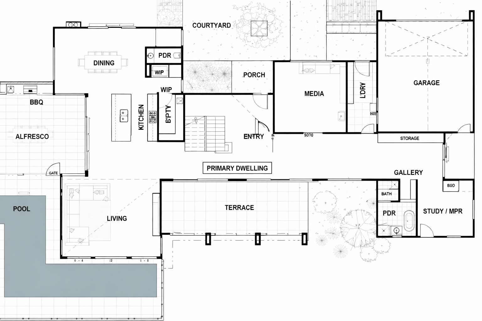 STEIGLITZ Drawing 1